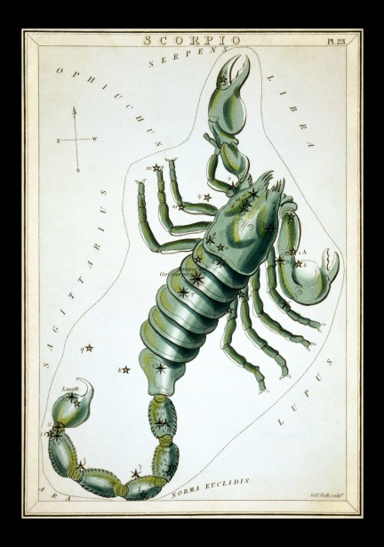 Scorpio Anthology